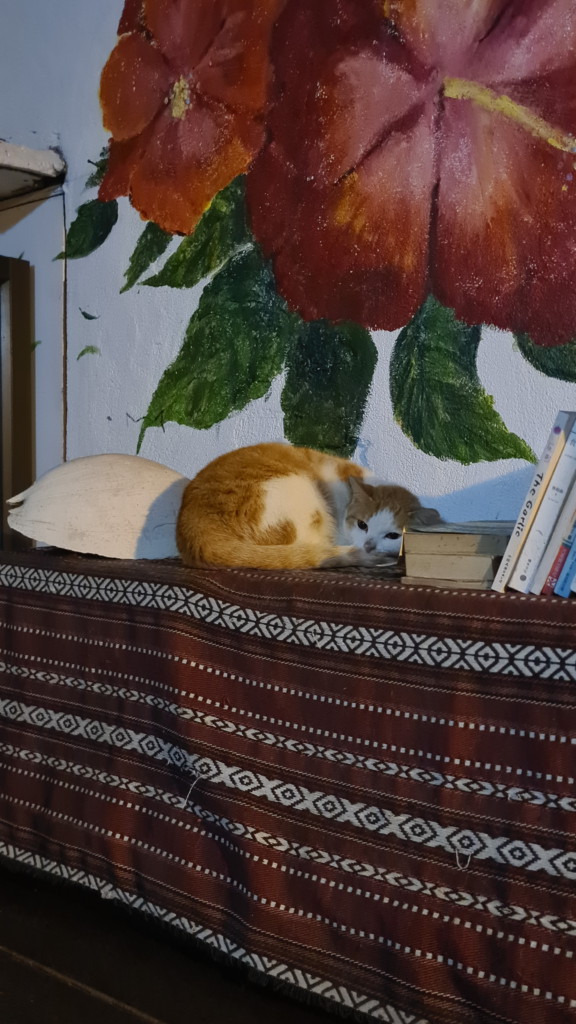 20241201 210820.webp