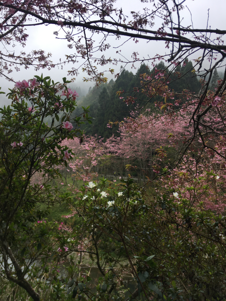 img 8956.webp
